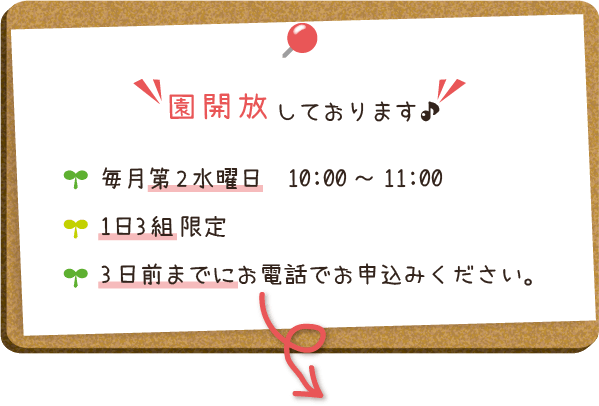 園開放しております 毎月第2水曜日10時から11時 1日3組限定 3日前までにお電話でお申し込みください。